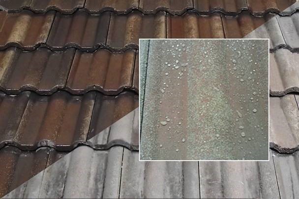 Roof Protection